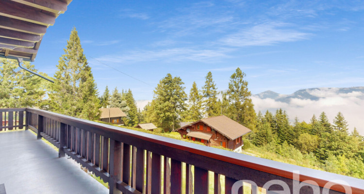 Magnifique chalet et son studio privé - Les Giettes image 2