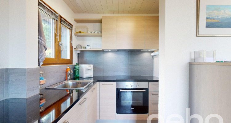 Magnifique chalet et son studio privé - Les Giettes image 5