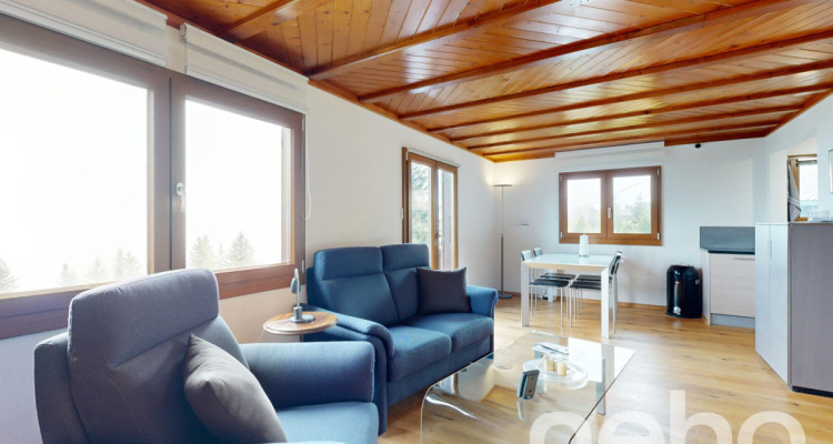 Magnifique chalet et son studio privé - Les Giettes image 7