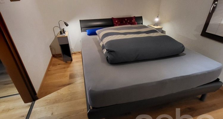 Magnifique chalet et son studio privé - Les Giettes image 8