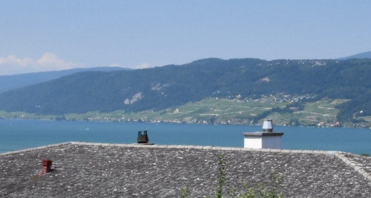 Grosses 7.5 Zimmer Einfamilienhaus im steuergünstigen Mörigen image 7