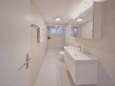 Villa individuelle de plain-pied avec importante réserve constructible image 11