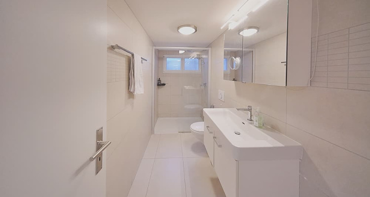 Villa individuelle de plain-pied avec importante réserve constructible image 11