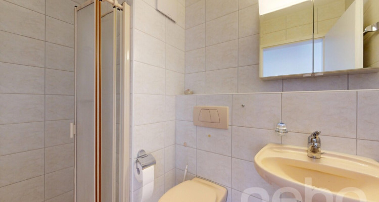 Grosszügige 4.5-Zi.-Wohnung mit Loggia an zentraler, ruhiger Lage image 9