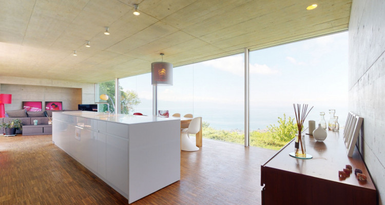 Grande villa darchitecture moderne à la Croix sur Lutry image 3