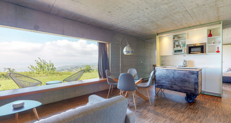 Grande villa darchitecture moderne à la Croix sur Lutry image 12