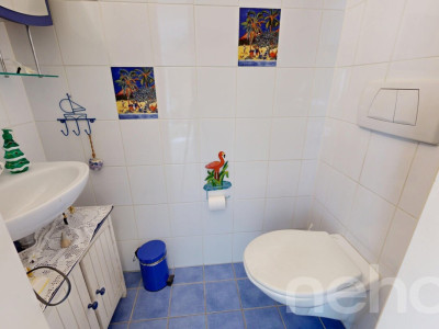 Charmante maison avec piscine et panneaux solaires à Cologny image 10