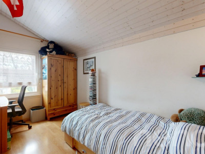 Charmante maison avec piscine et panneaux solaires à Cologny image 12