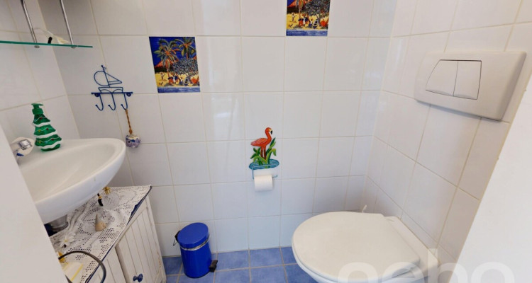 Charmante maison avec piscine et panneaux solaires à Cologny image 10