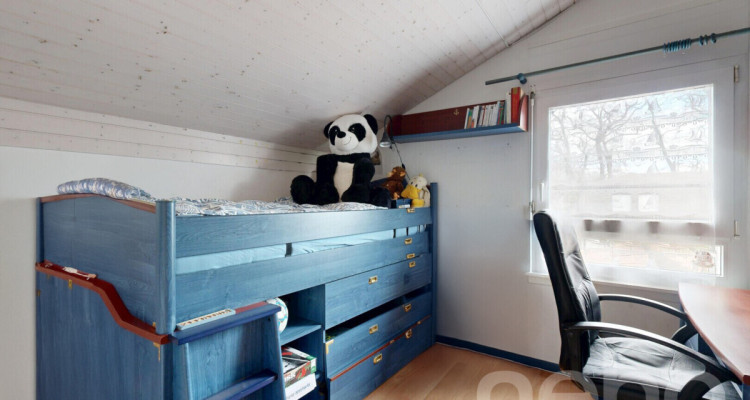 Charmante maison avec piscine et panneaux solaires à Cologny image 11