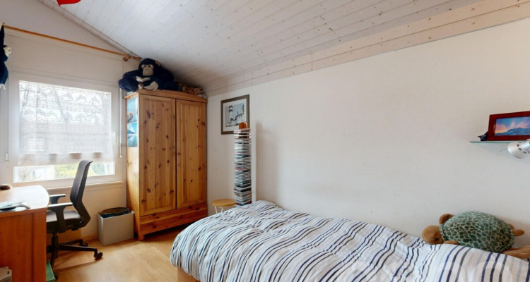 Charmante maison avec piscine et panneaux solaires à Cologny image 12