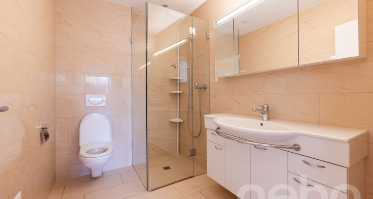 Exklusive 4.5-Zimmer-Wohnung mit traumhafter Aussicht in Zollikon image 12