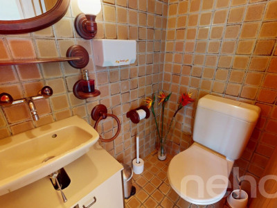 Haus mit Charme, grosser Terrasse, Garten und vielseitigem Anbau image 11