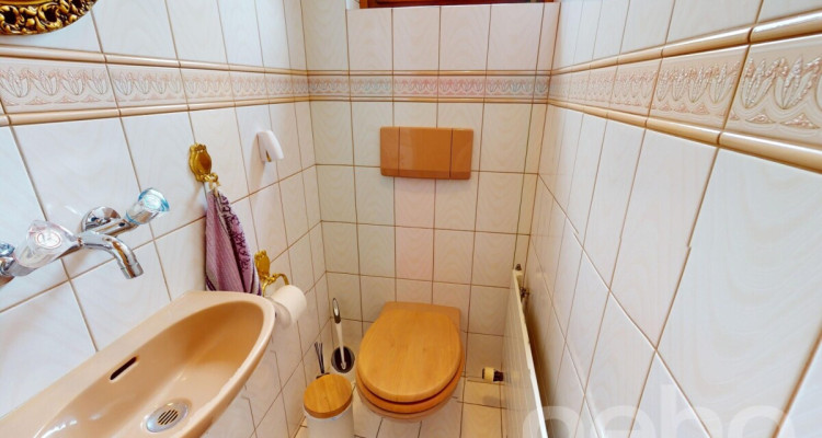 Haus mit Charme, grosser Terrasse, Garten und vielseitigem Anbau image 8