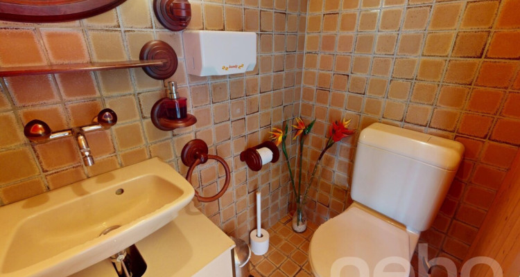 Haus mit Charme, grosser Terrasse, Garten und vielseitigem Anbau image 11