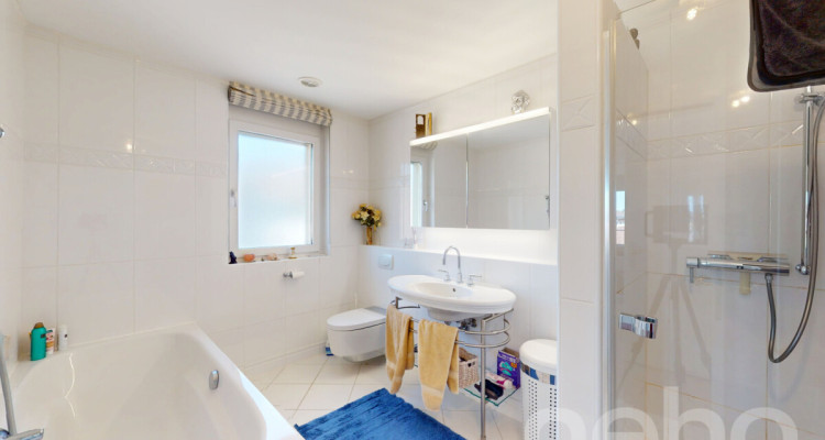 Wohnen mit Weitblick: Exklusive Wohnung direkt am Sihlsee image 9