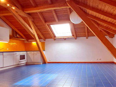 VETROZ – A louer un charmant 2 pièces mansardé image 1