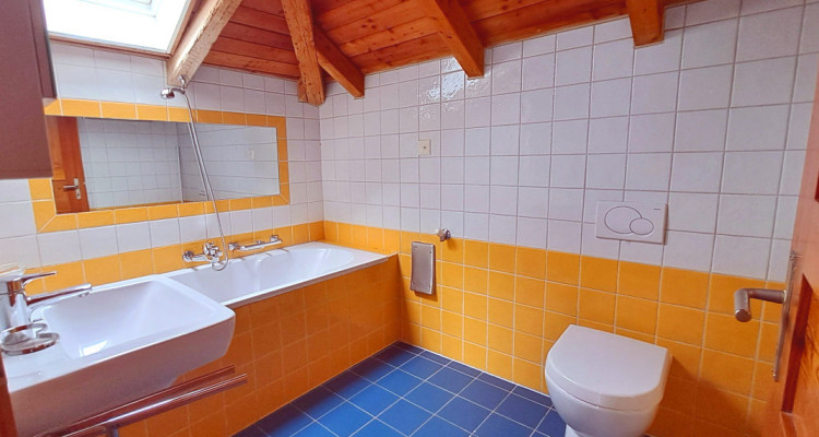 VETROZ – A louer un charmant 2 pièces mansardé image 5