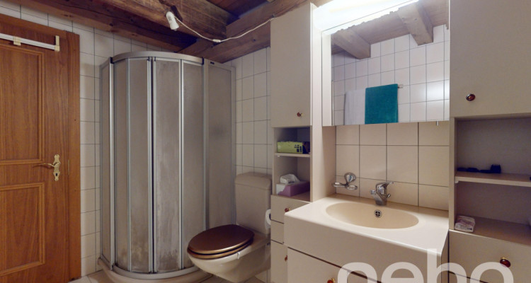 Appartement + bureau indépendant à Ursins ! image 4