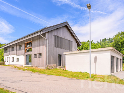 ENTRE NATURE ET CARACTÈRE : UNE FERME RÉINVENTÉE POUR UNE VIE LIBRE image 12