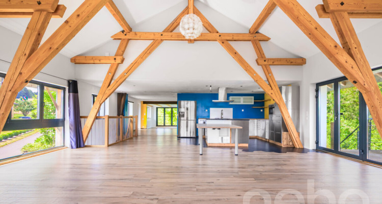 ENTRE NATURE ET CARACTÈRE : UNE FERME RÉINVENTÉE POUR UNE VIE LIBRE image 5