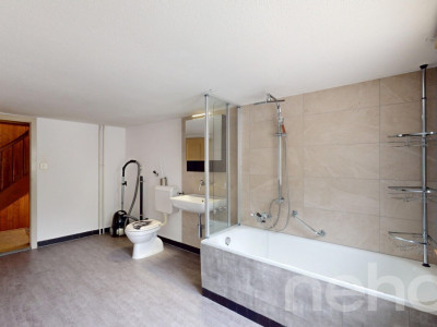 Haus mit Stall und 661 m² Grundstück in idyllischer Lage in Vättis SG image 9