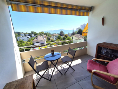 Appartement traversant 2 pièces dans Résidence ,rénové, piscine,  RÉSERVÉ ! image 12