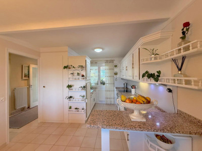 Sublime maison individuelle à Vernier dans un cadre verdoyant image 6