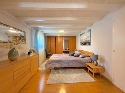 Sublime maison individuelle à Vernier dans un cadre verdoyant image 7