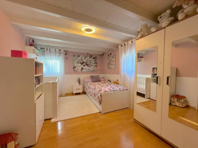 Sublime maison individuelle à Vernier dans un cadre verdoyant image 8