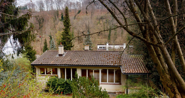 Verwirklichen Sie Ihren Wohntraum in Basel Stadt: Bauland in Bettingen image 1