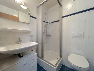 Magnifique maison avec jardin image 13