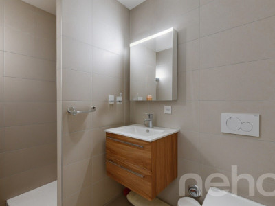 Magnifique attique avec volumes généreux et vue sur la verdure image 8