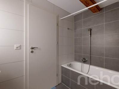 Magnifique appartement dans une ancienne ferme image 9