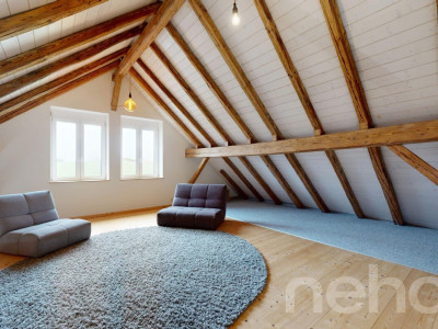 Magnifique appartement dans une ancienne ferme image 10