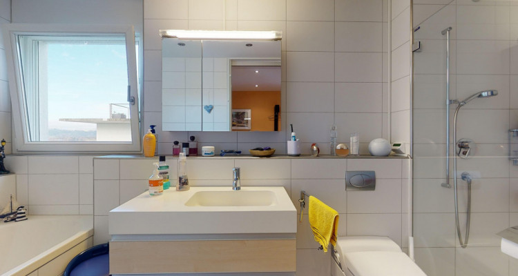 Herrliche Weitsicht über die Reuss und die Alpen image 12