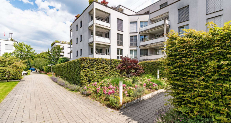 Lukrative Anlagemöglichkeit in Zürich image 1