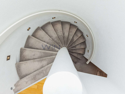 Eine Oase des Moments, für immer eingefangen image 10