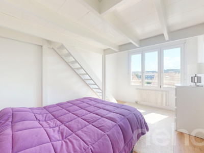 Duplex en attique lumineux et rénové avec cachet image 10