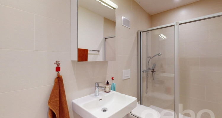 Licht, Weite und Ausblick ? stilvolle 3.5-Zimmer-Dachwohnung image 9