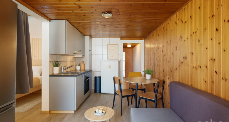 IMMEUBLE DE 2 APPARTEMENTS OFFRANT LUMINOSITÉ, RENDEMENT ET MODERNITÉ image 11