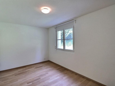 IDEAL POUR FAMILLE - BELLE VUE ET TRES CALME image 11