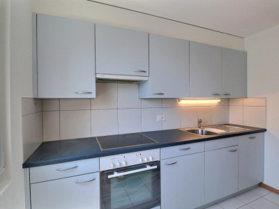 IDEAL POUR FAMILLE - BELLE VUE ET TRES CALME image 12