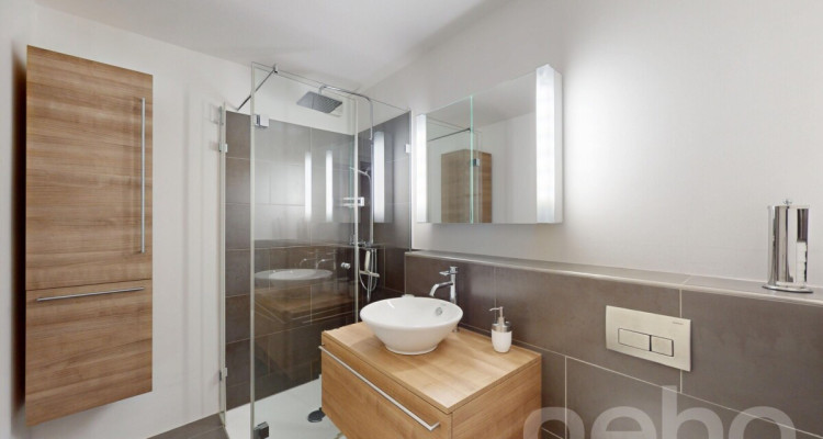 2.5-Zimmer-Wohnung mit Cheminée und Bergblick in Lenzerheide image 8