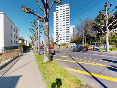 Spacieux et lumineux à 2 minutes de la plage de Vidy - Bail en cours image 11