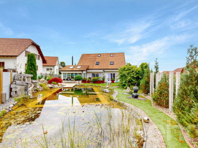 Wohnoase mit Naturpool - 5.5 Zimmer Einfamilienhaus in Buttwil image 1
