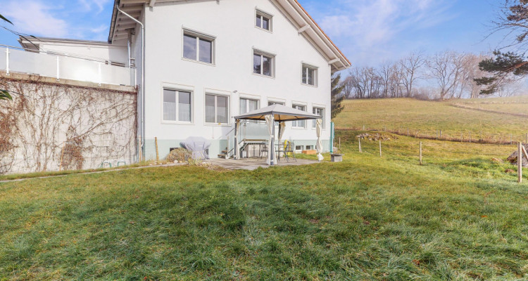 En exclusivité: maison de caractère composée de deux logements image 4