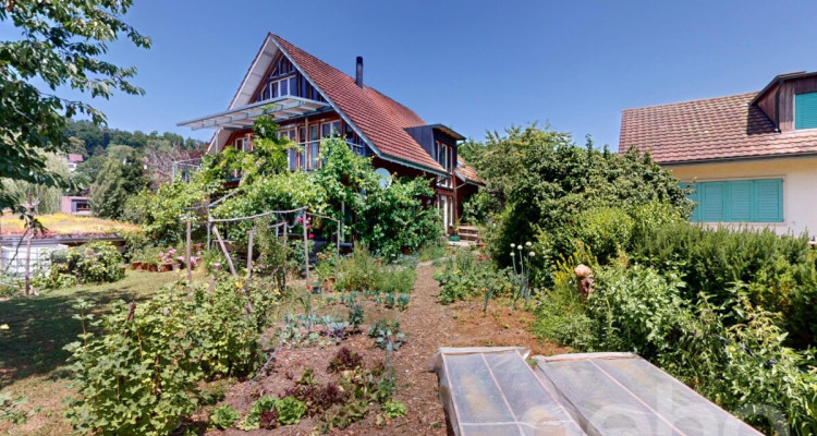 Lichtdurchflutetes Raumwunder mit nachhaltiger Bauweise image 2