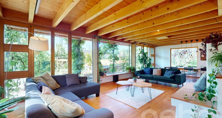 Lichtdurchflutetes Raumwunder mit nachhaltiger Bauweise image 3