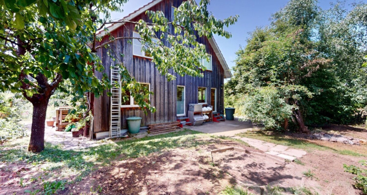 Lichtdurchflutetes Raumwunder mit nachhaltiger Bauweise image 12